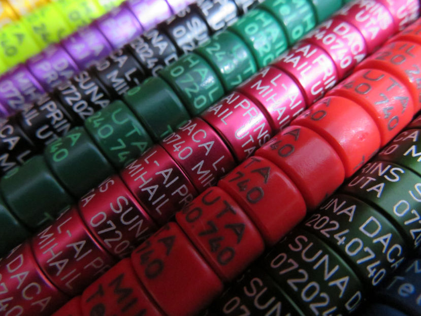  - Inele personalizate