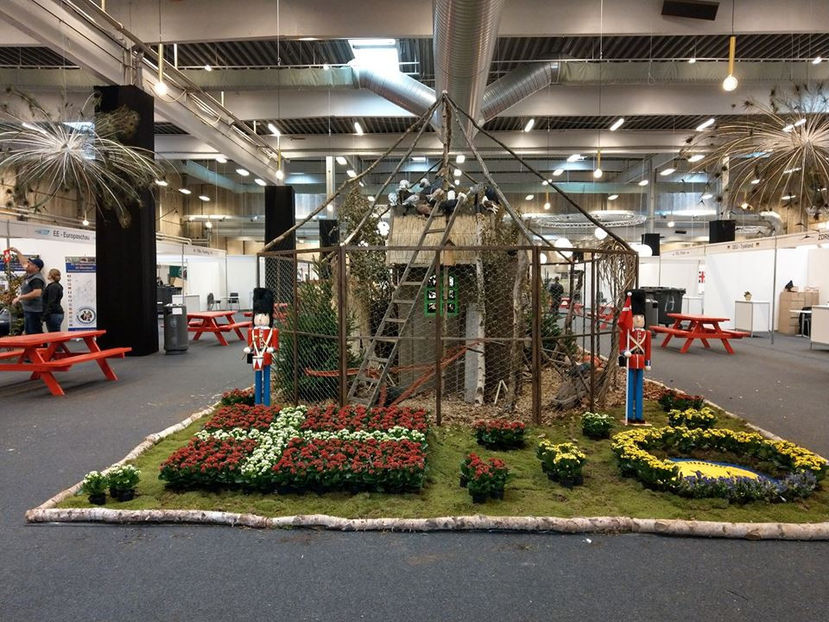  - EXPOZIȚIA EUROPEANĂ - HERNING 2018