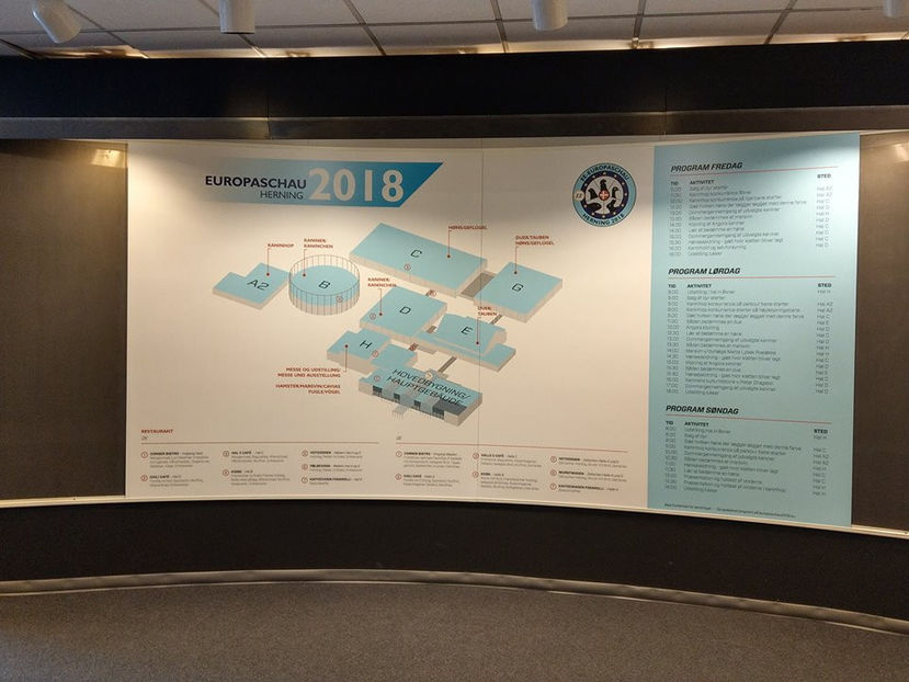  - EXPOZIȚIA EUROPEANĂ - HERNING 2018