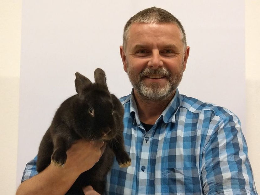  - EXPOZIȚIA EUROPEANĂ - HERNING 2018