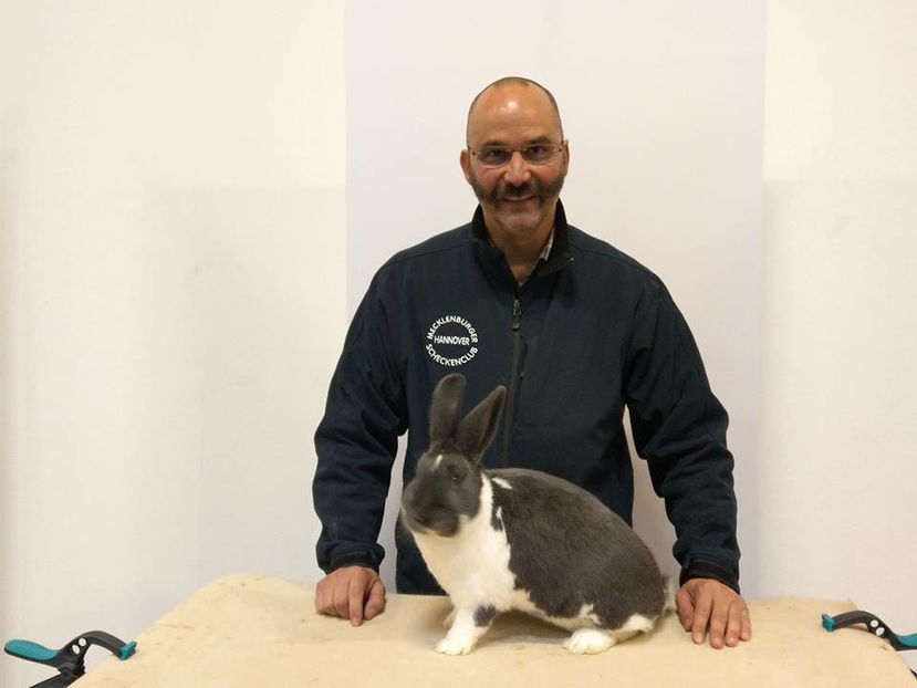  - EXPOZIȚIA EUROPEANĂ - HERNING 2018