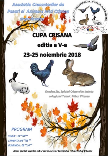 afis1111222 - Cupa Crișana 2018