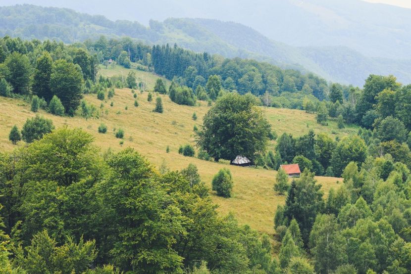 - Photo 16 - August