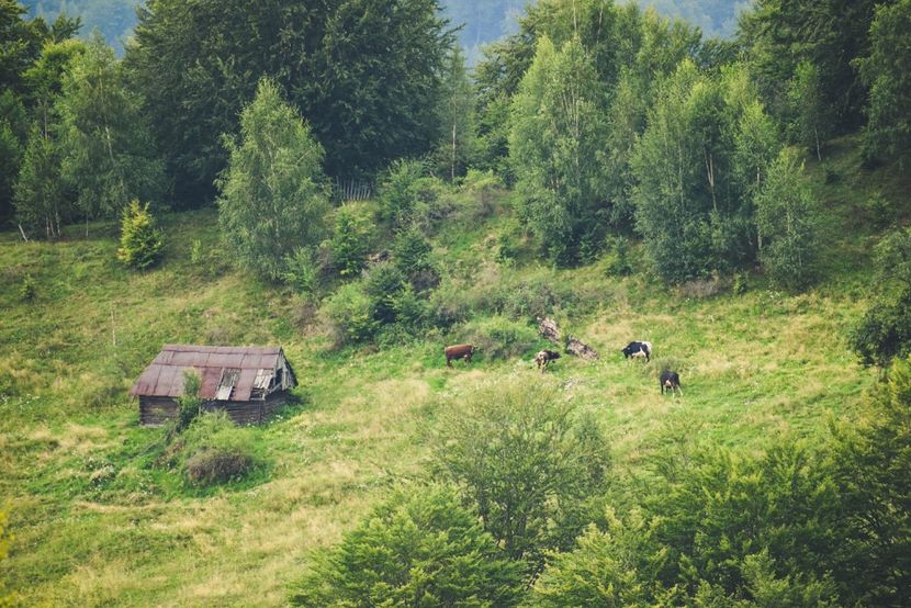  - Photo 16 - August
