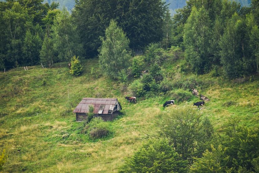  - Photo 16 - August