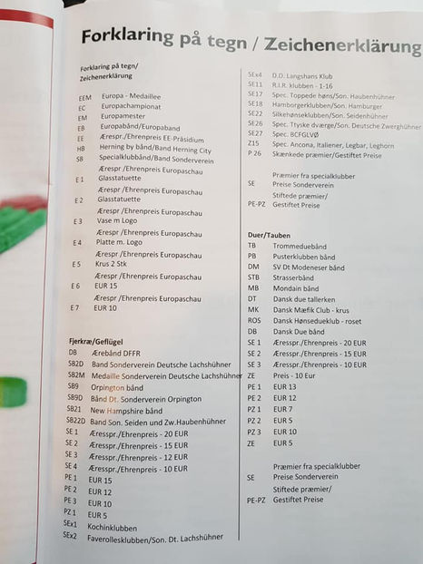  - EXPOZIȚIA EUROPEANĂ - HERNING 2018