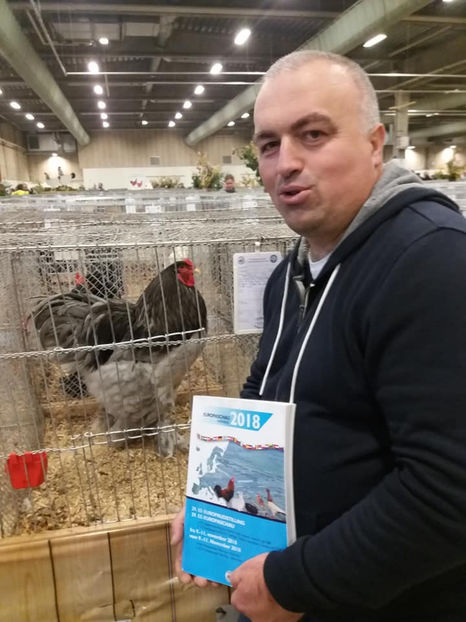 Campion European 2018 Liviut Ticsa - EXPOZIȚIA EUROPEANĂ - HERNING 2018