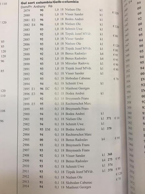 Bodea Andrei - EXPOZIȚIA EUROPEANĂ - HERNING 2018