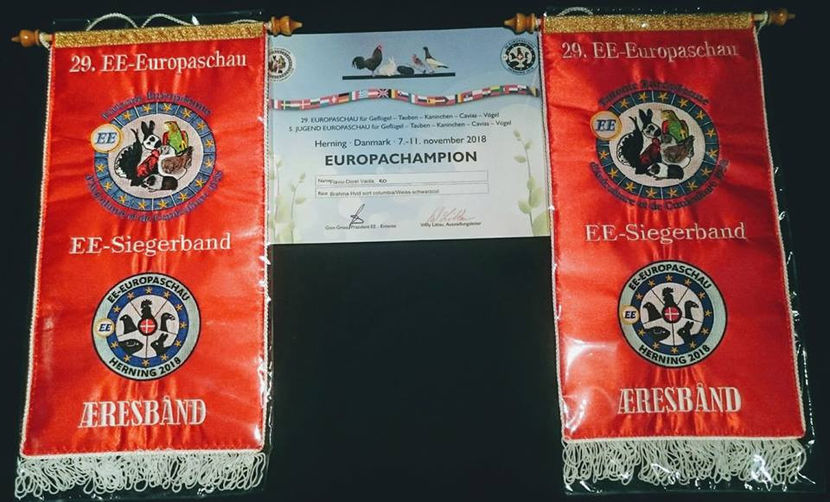 Flaviu Vaida - EXPOZIȚIA EUROPEANĂ - HERNING 2018