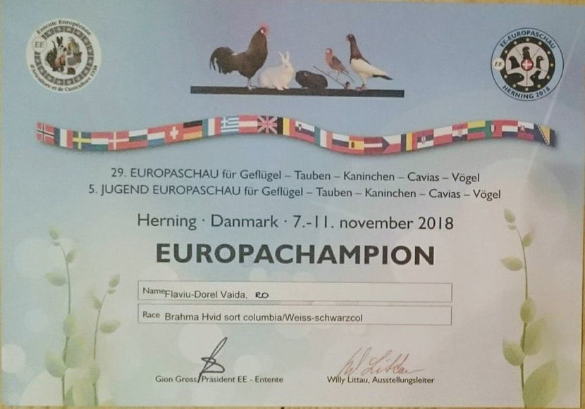 Flaviu Vaida - EXPOZIȚIA EUROPEANĂ - HERNING 2018