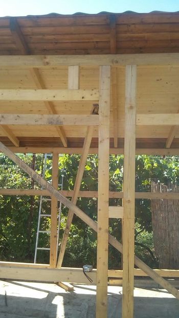 IMG-20170831-WA0003 - Crescatorie 2019