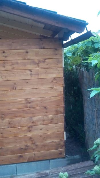 IMG-20170903-WA0007 - Crescatorie 2019