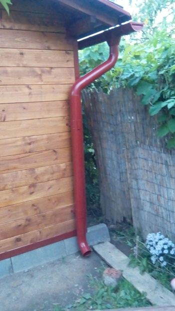 IMG-20170920-WA0015 - Crescatorie 2019