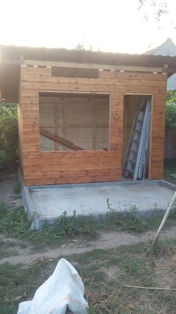 IMG-20170911-WA0002 - Crescatorie 2019