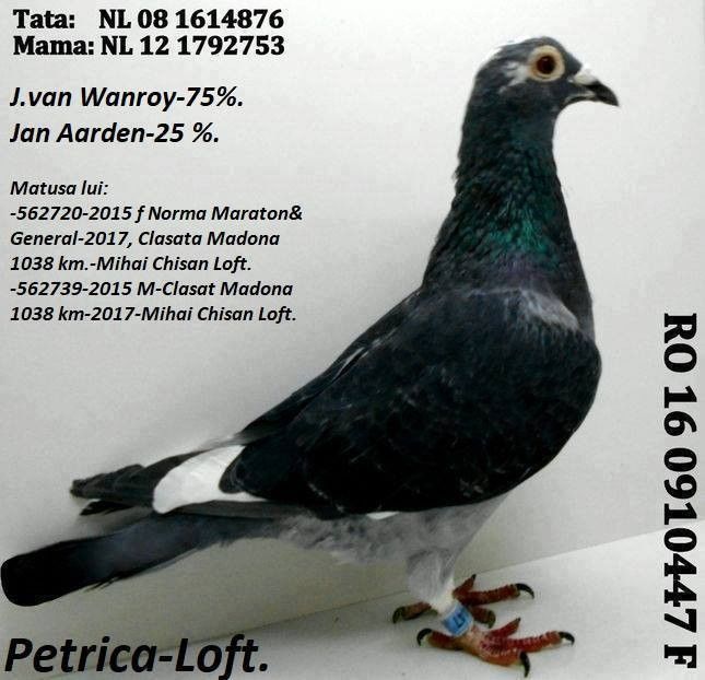 received_1796083950443841 - Matca femele