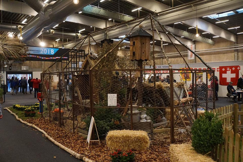  - EXPOZIȚIA EUROPEANĂ - HERNING 2018