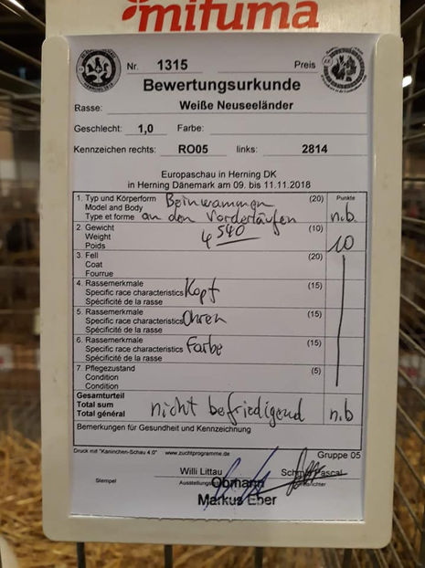 Ervin Gyorgy‎ - EXPOZIȚIA EUROPEANĂ - HERNING 2018