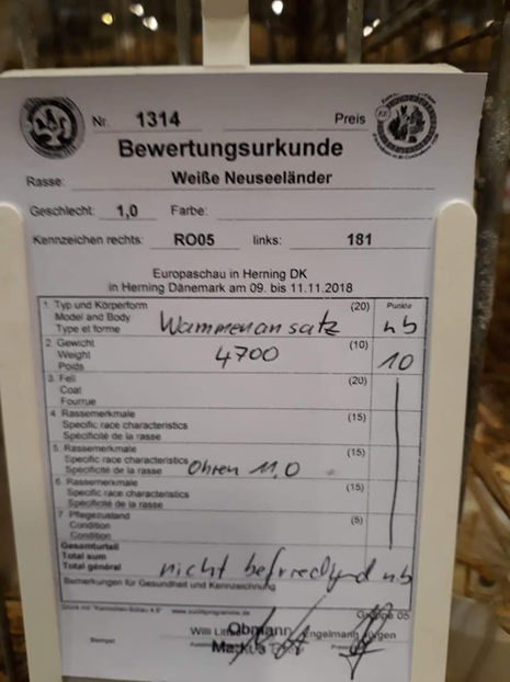 Ervin Gyorgy‎ - EXPOZIȚIA EUROPEANĂ - HERNING 2018