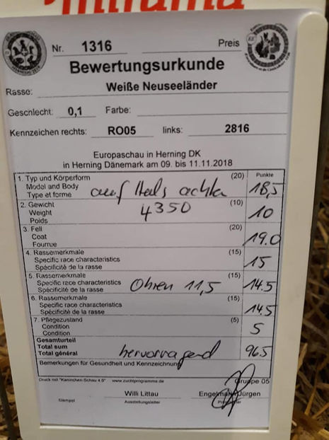 Ervin Gyorgy‎ - EXPOZIȚIA EUROPEANĂ - HERNING 2018