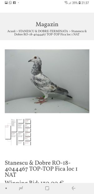 Screenshot_20181112-213701_Chrome - Femele - Females