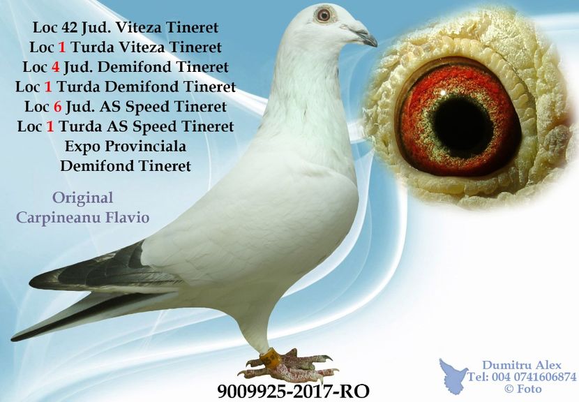 9009925-2017-RO - 2018