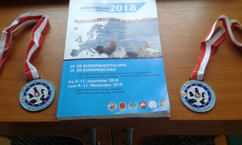 am ajuns cu bine acasă - 0 - REZ EXPO EURO DANEMARCA 2018