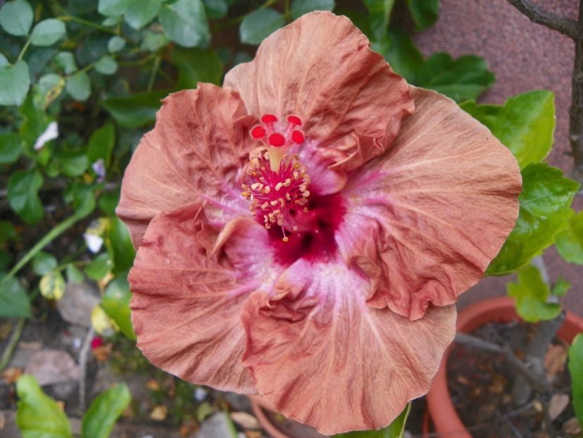 15 sept (18) - Toamna 2018