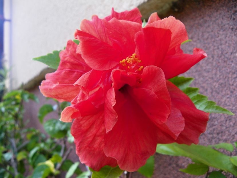 15 sept (30) - Toamna 2018