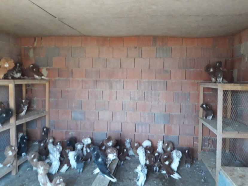 received_2195737997314644 - Gulerati