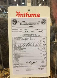 Luci Onujec - EXPOZIȚIA EUROPEANĂ - HERNING 2018