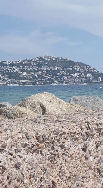 Roses - Olot si altele