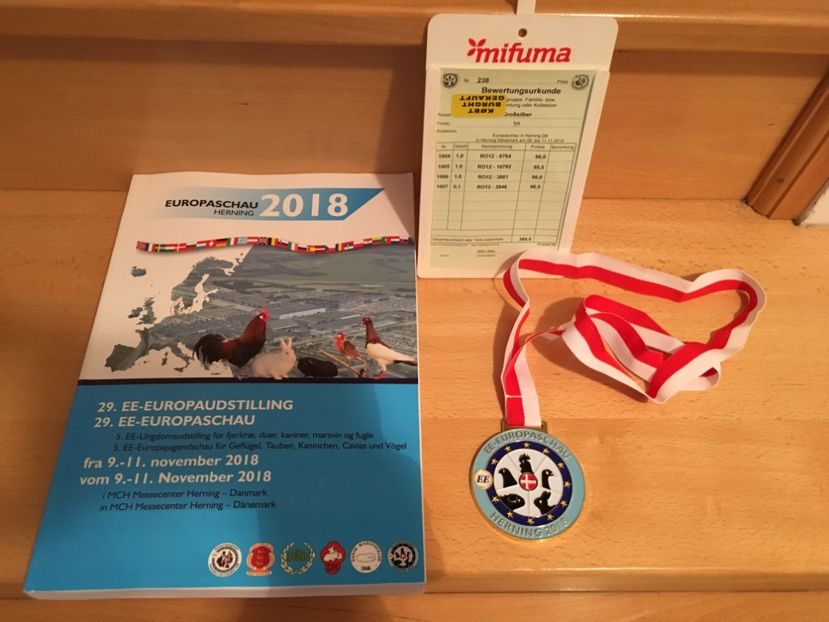 CC71A2C0-F76F-4997-A567-AF79E3966181 - 3 - Rezultate Campionatul European Herning Danemarca Noiembrie 2018