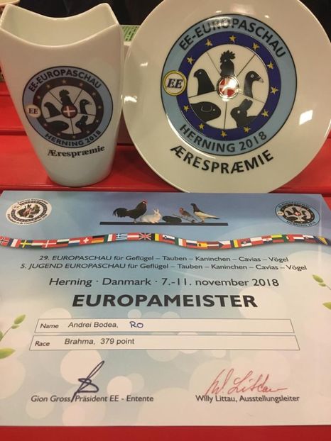 IMG-20181110-WA0005 - Rezultatele mele la Campionatul European Herning Danemarca