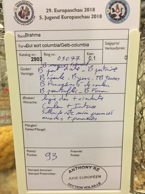 IMG-20181109-WA0058 - Rezultatele mele la Campionatul European Herning Danemarca