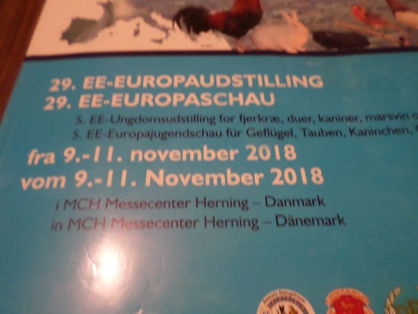 SAM_5231 - A REZULTATE LA EXPO EUROPASCHAU HERNING DANMARK 9 11 NOV 2018