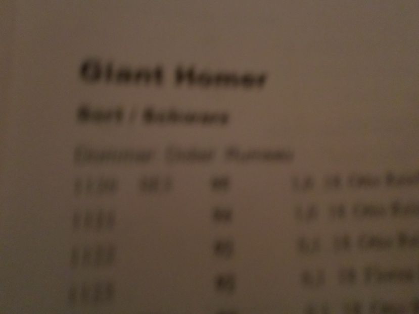 SAM_5233 - A REZULTATE LA EXPO EUROPASCHAU HERNING DANMARK 9 11 NOV 2018