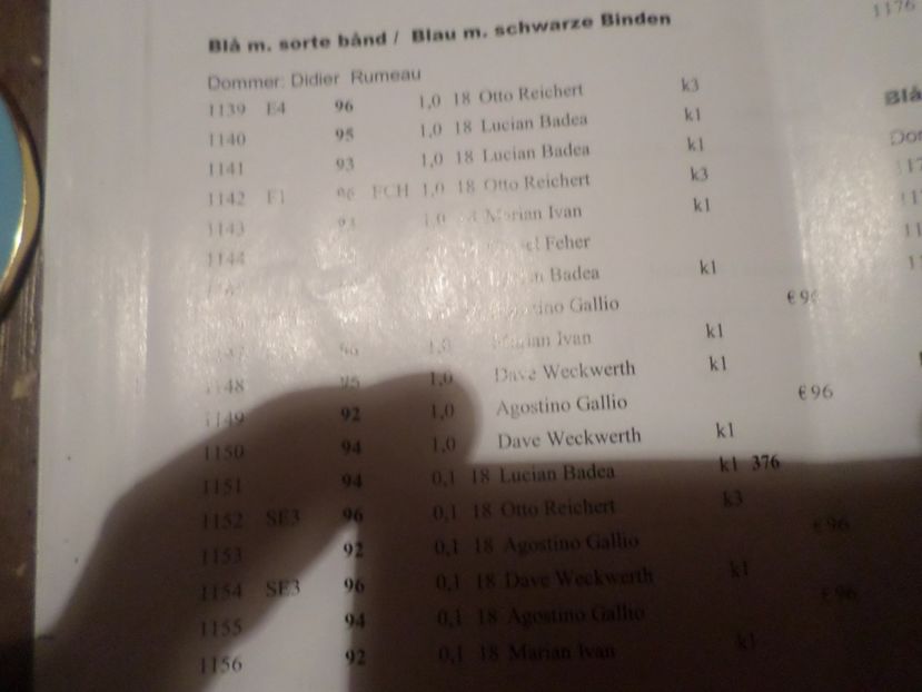 SAM_5235 - A REZULTATE LA EXPO EUROPASCHAU HERNING DANMARK 9 11 NOV 2018