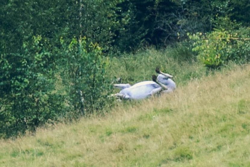????? - Photo 16 - August