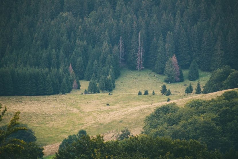  - Photo 16 - August