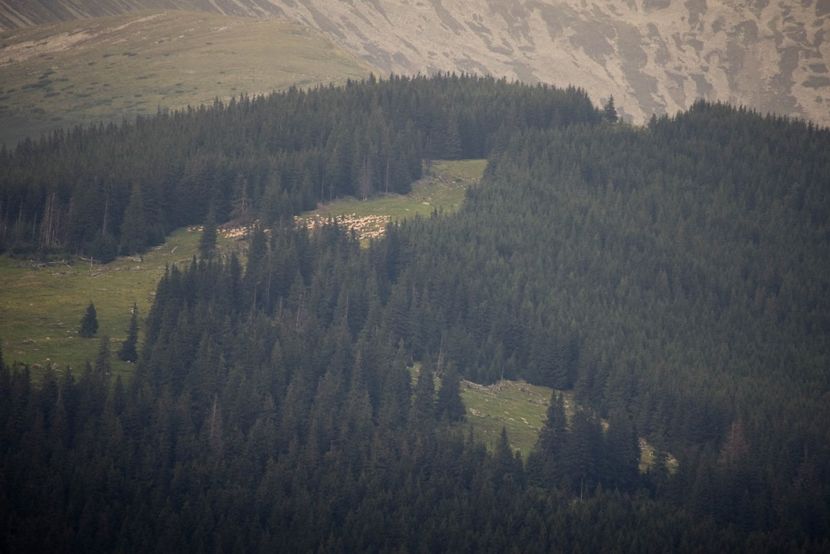  - Photo 16 - August