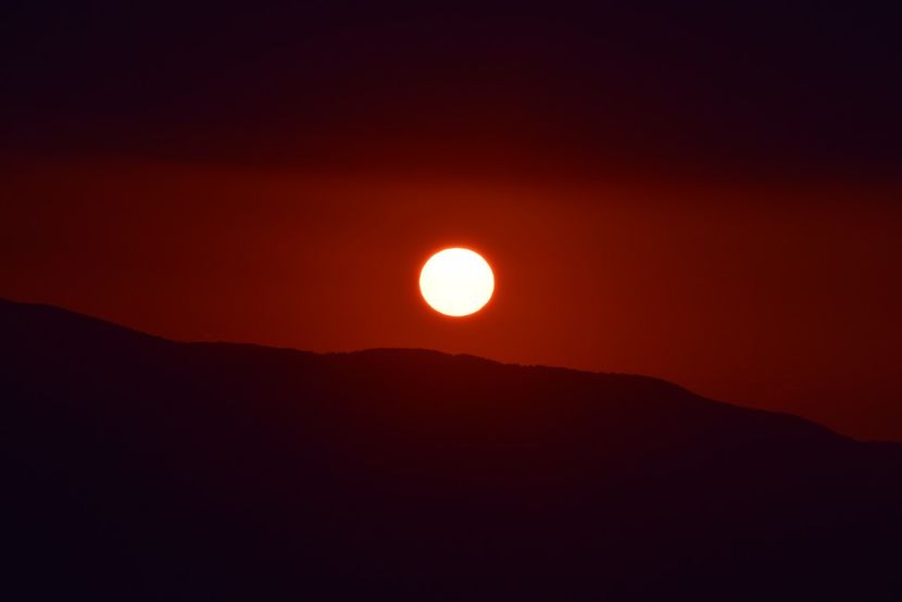  - Photo 16 - August