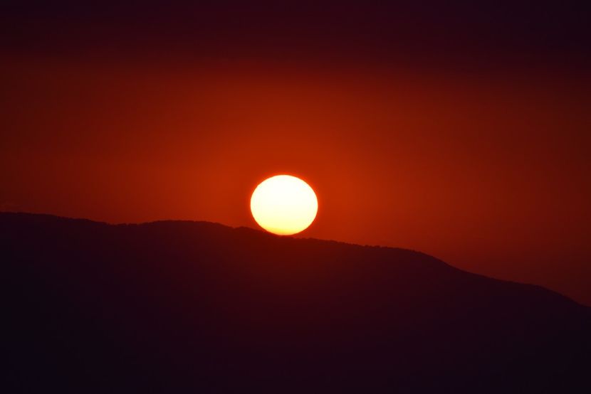  - Photo 16 - August