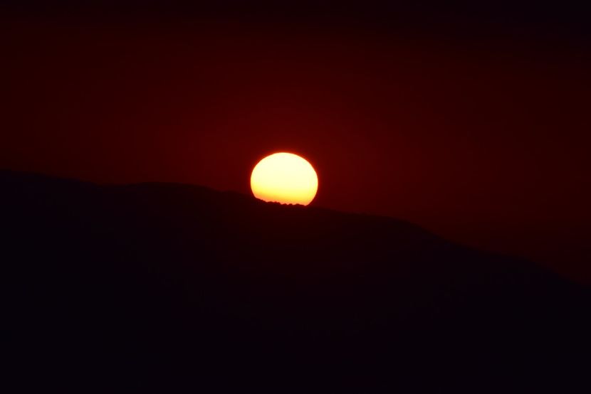  - Photo 16 - August