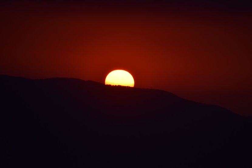 - Photo 16 - August