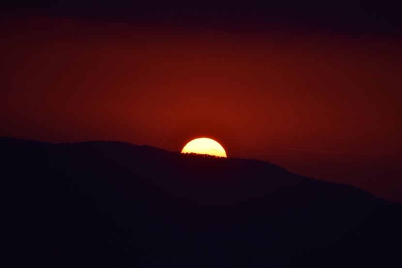  - Photo 16 - August