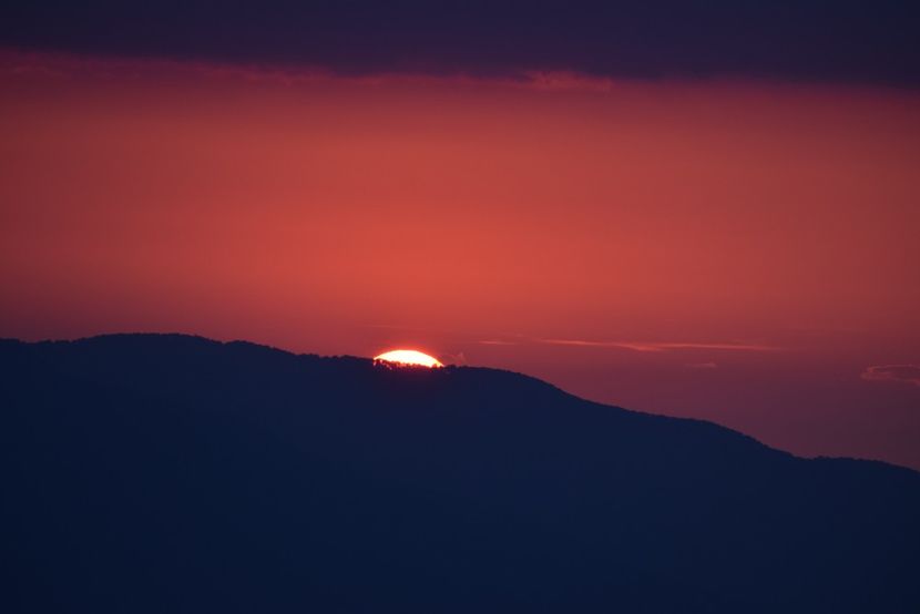  - Photo 16 - August