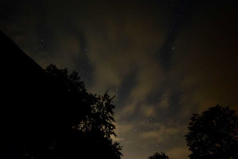  - Photo 16 - August