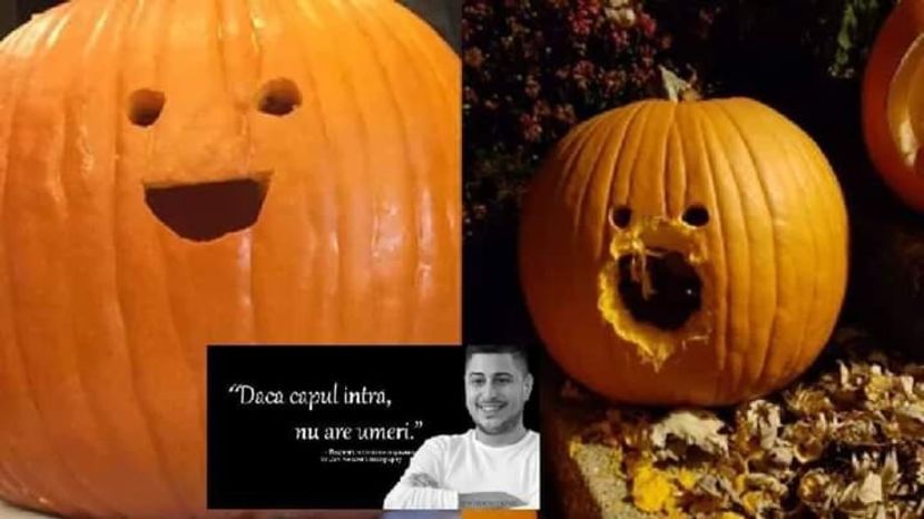  - Sezonul 4 insula iubirii - memes 2
