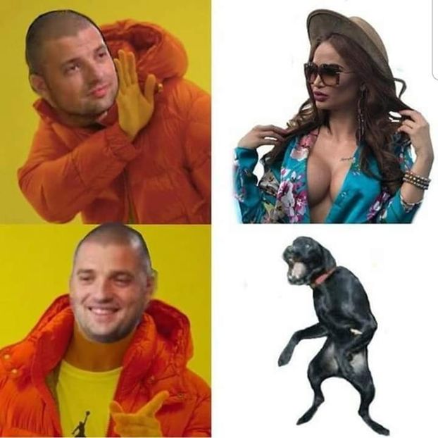  - Sezonul 4 insula iubirii - memes 2