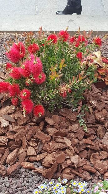  - Girona Temps de flor 2017